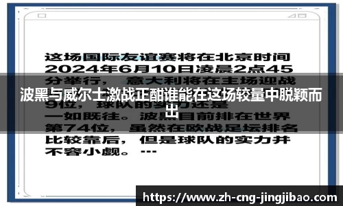 波黑与威尔士激战正酣谁能在这场较量中脱颖而出